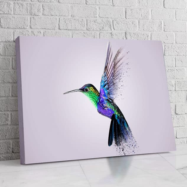 Colibrí  Alas Punteadas