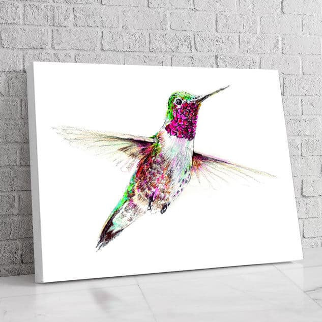 Colibrí Volando