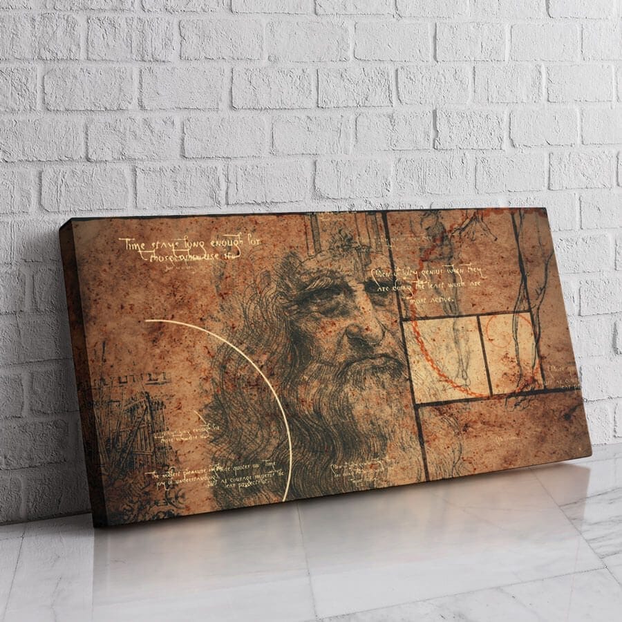 Rostro Leonardo da Vinci